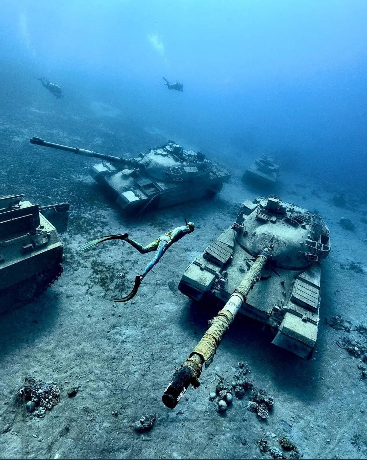 تانک چیفتن اردنی بعد از خدمت خارج شدن کف دریا رها شد تا تبدیل به مرجان های مصنوعی شوند